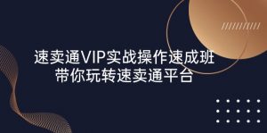 速卖通 VIP实战操作-速成班,带你玩转速卖通平台(23节)-个人经验技术分享