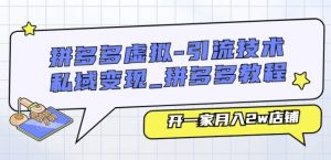 拼多多虚拟-引流技术与私域变现_拼多多教程：开一家月入2W店铺-个人经验技术分享