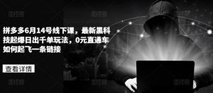 拼多多6月14号线下课,最新黑科技起爆日出千单玩法,0元直通车如何起飞一条链接-个人经验技术分享