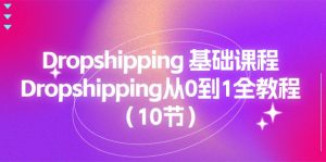 Dropshipping 基础课程，Dropshipping从0到1全教程（10节）-个人经验技术分享