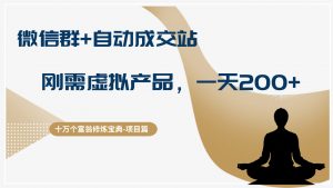 十万个富翁修炼宝典微信群+自动成交站,刚需虚拟产品,一天收入200+-个人经验技术分享