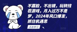 不露脸，不出镜，玩转找茬游戏，月入过万不是梦，2024年风口爆发，抓住机遇【揭秘】-个人经验技术分享