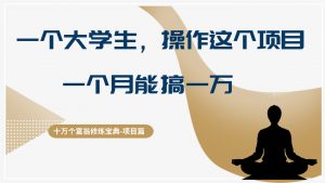 一个大学生,操作这个项目一个月能搞1w,轻松做到月入四位数-个人经验技术分享