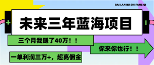 未来三年,蓝海赛道,月入3万+-个人经验技术分享