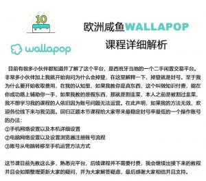 wallapop整套详细闭环流程：最稳定封号率低的一个操作账号的办法-个人经验技术分享
