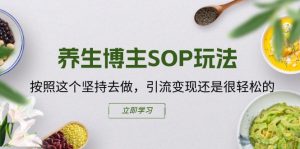 养生博主SOP玩法，按照这个坚持去做，引流变现还是很轻松的-个人经验技术分享