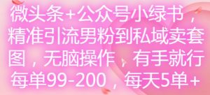 微头条+公众号小绿书,精准引流男粉到私域卖套图,无脑操作,有手就行,每单99-200,每天5单-个人经验技术分享