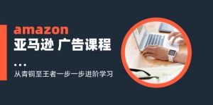 amazon亚马逊 广告课程:从青铜至王者一步一步进阶学习(16节)-个人经验技术分享