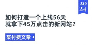 某付费文章《如何打造一个上线56天就拿下45万点击的新网站?》-个人经验技术分享