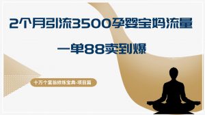 十万个富翁修炼宝典2个月引流3500孕婴宝妈流量,一单88卖到爆-个人经验技术分享