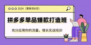 2024拼多多-单品爆款打造班(更新6月),充分应用你的流量,增长实战培训-个人经验技术分享