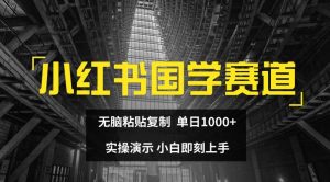 小红书国学赛道,无脑粘贴复制,单日1K,实操演示,小白即刻上手-个人经验技术分享