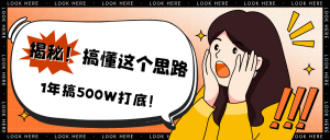 揭秘！搞懂这个思路，1年搞500W打底！-个人经验技术分享