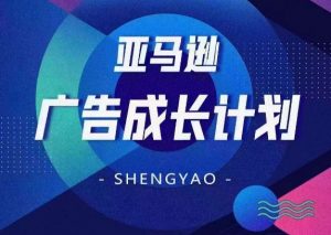 亚马逊广告成长计划,全面掌握广告矩阵搭建,开源节流,让你的流量来源多元化-个人经验技术分享