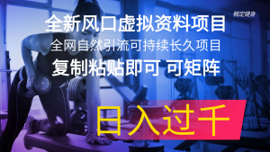 全新风口虚拟资料项目 全网自然引流可持续长久项目 复制粘贴即可可矩阵-个人经验技术分享