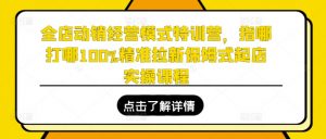 全店动销经营模式特训营,指哪打哪100%精准拉新保姆式起店实操课程-个人经验技术分享