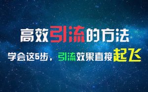 高效引流的方法,可以帮助你日引300+创业粉,一年轻松收入30万,比打工强-个人经验技术分享