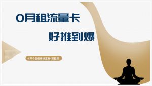 十万个富翁修炼宝典0月租流量卡,好推到爆,详细教程-个人经验技术分享