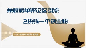 十万个富翁修炼宝典兼职粉派单评论区引流,2块钱一个创业粉,保姆级详细教程-个人经验技术分享