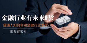 某付费文章:金融行业有未来吗?普通人如何利用金融行业发财?(附财富密码)-个人经验技术分享