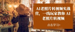 AI老照片转视频实操训练营,一线玩家教你AI老照片转视频-个人经验技术分享