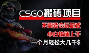 CSGO 装备搬砖项目,操作简单,不需要会玩游戏,小白也能快速上手,一个月轻松大几千【揭秘】-个人经验技术分享