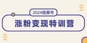 2024视频号-涨粉变现特训营:一站式打造稳定视频号涨粉变现模式(10节)-个人经验技术分享