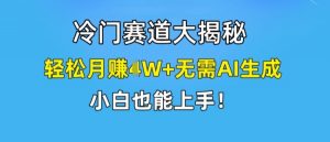 冷门赛道大揭秘,轻松月赚1W+无需AI生成,小白也能上手【揭秘】-个人经验技术分享