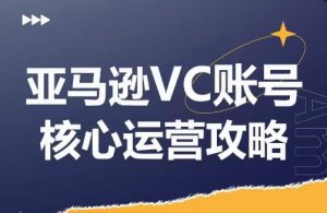 亚马逊VC账号核心玩法解析,实战经验拆解产品模块运营技巧,提升店铺GMV,有效提升运营利润-个人经验技术分享