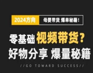 短视频母婴赛道实操流量训练营,零基础视频带货,好物分享,爆量秘籍-个人经验技术分享