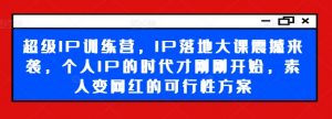 超级IP训练营,IP落地大课震撼来袭,个人IP的时代才刚刚开始,素人变网红的可行性方案-个人经验技术分享