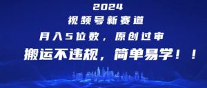2024视频号新赛道，月入5位数+，原创过审，搬运不违规，简单易学【揭秘】-个人经验技术分享