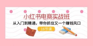 小红书电商实战班，从入门到精通，带你抓住又一个赚钱风口（16节）-个人经验技术分享