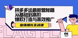 拼多多运最新营秘籍:业绩 增长实战课,从基础到高阶,爆款打造与高效推广-个人经验技术分享