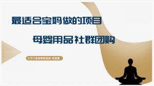 十万个富翁修炼宝典最适合宝妈做的项目，母婴用品社群团购-个人经验技术分享