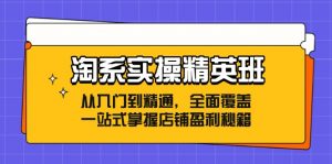 淘系实操精英班:从入门到精通,全面覆盖,一站式掌握店铺盈利秘籍-个人经验技术分享