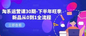 淘系运营课30期-下半年旺季新品从0到1全流程-个人经验技术分享