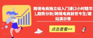 跨境电商独立站入门课(2小时精华),趋势分析/跨境电商前世今生/建站演示等-个人经验技术分享