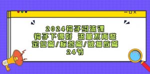 2024钩子·引流课：钩子下得好 流量不再愁，定位篇/标签篇/破播放篇/24节-个人经验技术分享