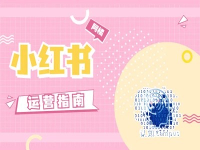图片[1]-小红书运营指南，没有套路，全是经验-个人经验技术分享