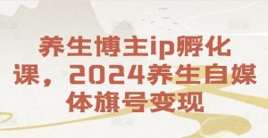 养生博主IP孵化课,2024养生自媒体旗号变现-个人经验技术分享