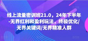 线上流量密训班21.0,24年下半年-无界红利和盈利玩法,终极优化/无界关键词/无界精准人群-个人经验技术分享