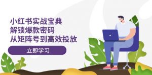 小红书实战宝典：解锁爆款密码，从矩阵号到高效投放-个人经验技术分享