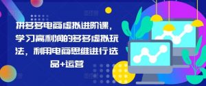 拼多多电商虚拟进阶课，学习高利润的多多虚拟玩法，利用电商思维进行选品+运营（更新）-个人经验技术分享
