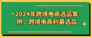 2024年跨境电商选品案例,跨境电商利基选品(更新)-个人经验技术分享