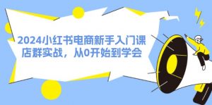 2024小红书电商新手入门课，店群实战，从0开始到学会（31节）-个人经验技术分享