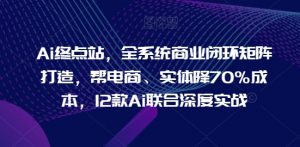 AI终点站,全系统商业闭环矩阵打造,帮电商、实体降70%成本,12款AI联合深度实战【0906更新】-个人经验技术分享