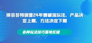 拼多多特训营24年爆破流玩法，产品决定上限，方法决定下限，各种玩法技巧落地实操-个人经验技术分享