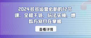 2024多多运营必听的12节课,全程干货,玩法实操,爆款方案尽在掌握-个人经验技术分享