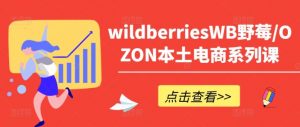 WILDBERRIESWB野莓/OZON本土电商系列课,掌握WB产品优化,出单技巧和订单处理等-个人经验技术分享